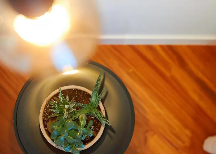 Rosa 4* Santa Maria di Castellabate